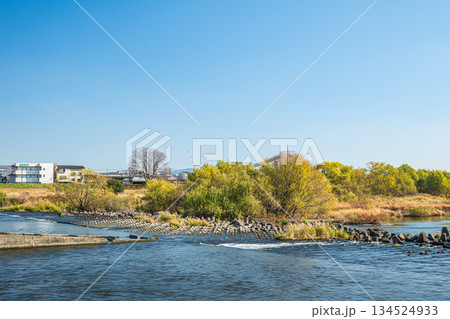 冬の桂川風景　京都市 134524933