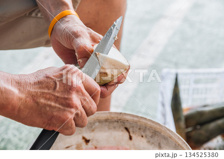 Farmer peeling bamboo shoot with knife in local market Farmer peeling bamboo shoot with knife in local market 134525380