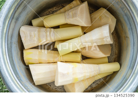 Freshly peeled bamboo shoots stacked in cooking pot 134525390
