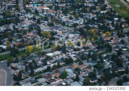 Above of suburban residential housing neighborhood with trees lined street, houses and park 134525392