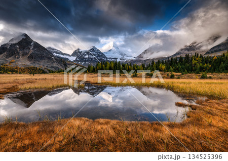 Mount Assiniboine with golden autumn meadow and reflective pond during autumn in Canada 134525396