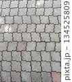 Decorative Tiled Pathway Made of Patterned Stone Blocks in Outdoor Area 134525809
