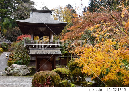 栃木県 雲厳寺境内の鐘楼と紅葉 栃木県 雲厳寺境内の鐘楼と紅葉 134525846