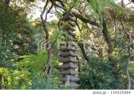 旧古川庭園 日本庭園 枯滝 旧古川庭園 日本庭園 枯滝 134525984