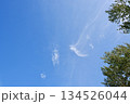 青空と流れる雲　木々に囲まれた爽やかな空の背景素材 134526044