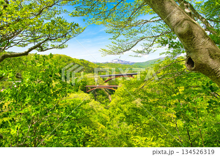 福島県西白河郡西郷村　阿武隈川が流れる渓谷に架かる新旧雪割橋 134526319