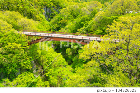 福島県西白河郡西郷村　阿武隈川が流れる渓谷に架かる旧雪割橋 134526325
