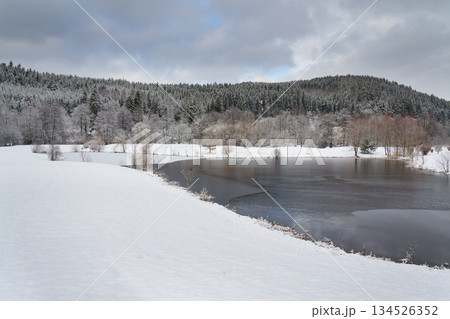 Snow on golf course landscape in winter with forest in background, copy space 134526352
