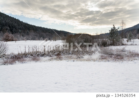Snow on golf course landscape in winter with forest in background, copy space Snow on golf course landscape in winter with forest in background, copy space 134526354