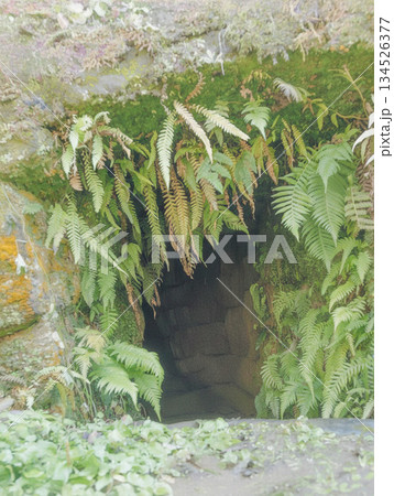 謎のトンカラリン、洞窟型遺構 134526377