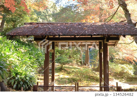 旧古川庭園 日本庭園 茶室 旧古川庭園 日本庭園 茶室 134526482