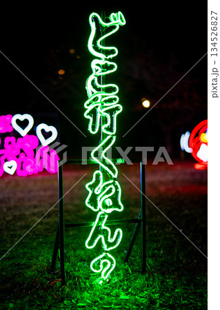 どこ行くねん？と書かれたネオンイルミネーション 134526827