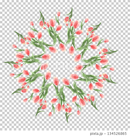 Cute background illustration material with tulips arranged radially 134526865