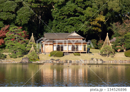浜離宮恩賜庭園の池と御茶屋 秋の紅葉と静かな日本庭園の風景2(アップ) 浜離宮恩賜庭園の池と御茶屋 秋の紅葉と静かな日本庭園の風景2(アップ) 134526896
