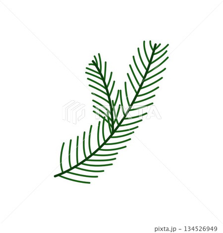 Minimal pine branch illustration for nature branding, eco packaging, botanical designs Minimal pine branch illustration for nature branding, eco packaging, botanical designs 134526949