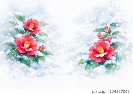 雪の背景に咲く赤い椿のイラスト 134527042