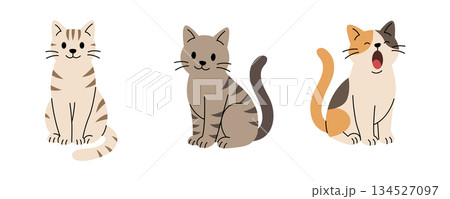 Set of three cartoon cats sitting and yawning. Flat vector illustrations of cute striped and calico felines 134527097