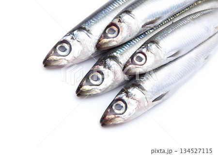ウルメイワシ 134527115