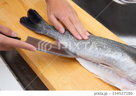 スズキ（シーバス）をさばく 134527180