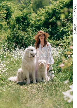 Dogs Woman Field, Summer: Woman with dogs poses among daisies for portrait in meadow on summer day. Dogs Woman Field, Summer: Woman with dogs poses among daisies for portrait in meadow on summer day. 134527222