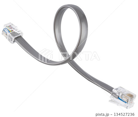 Category 5e twisted pair patch cord with transparent RJ45 connectors in gray insulation. 134527236