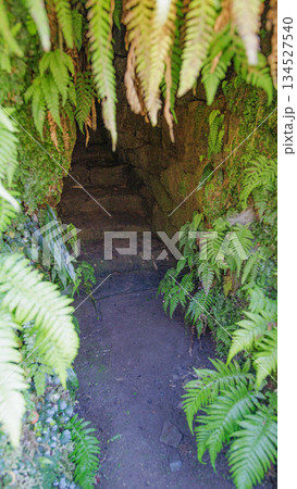 トンカラリン、トンネルの先に見えるのは 134527540