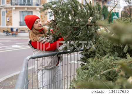 A woman is throwing away Christmas trees behind the fence 134527620