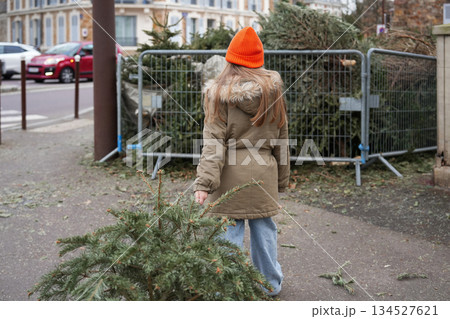 The girl is throwing out the Christmas trees behind the fence 134527621