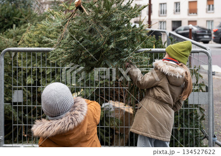 A brother and sister throw away Christmas trees behind the fence 134527622