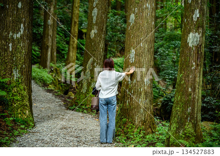 神秘的な森の中で木に手を当てる女性 神秘的な森の中で木に手を当てる女性 134527883