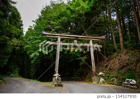 深い森の中にある古い鳥居 134527930