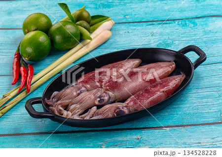 Raw fresh young baby squid 134528228