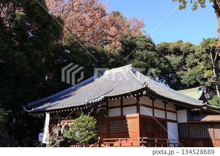 近所の神社 近所の神社 134528689