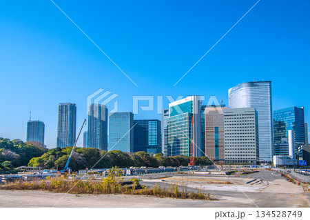 日本の東京都市景観 汐留のビル群や旧築地市場（6）仮設搬出入路及び荷揚げ桟橋上部工撤去工事など＝8日 134528749