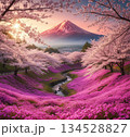 春の山と川 134528827