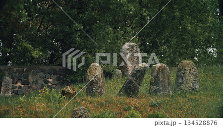 Old ancient Jewish cemetery in summer spring day. green grass an 134528876