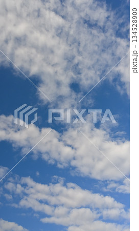 空素材（縦構図） 134528900