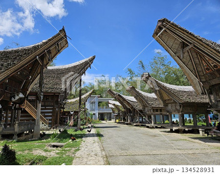 This is traditional house from Tana Toraja 134528931