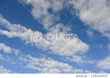 空素材 空素材 134528974