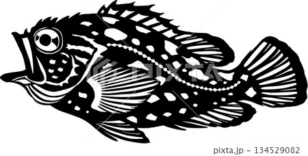 カッティング用イラスト　カサゴ 134529082