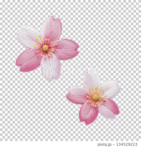 刺繍風の桜の花イラスト、リアルな手刺繍タッチの春素材 134529223