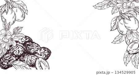 A frame of prunes and plums with leaves, all objects are hand-drawn in vector. The frame made of fruits and dried fruits is perfect for printing on food packaging, textiles, for design. 134529905