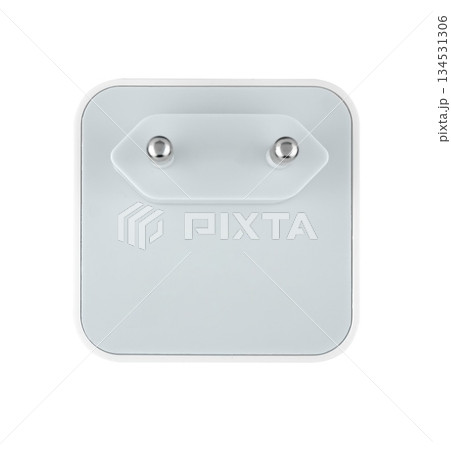 power adapter for the phone, on a white background in insulation power adapter for the phone, on a white background in insulation 134531306