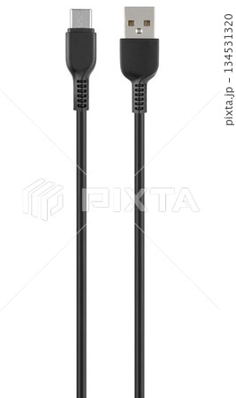 cable with USB and Type-C connector, insulated on white background 134531320