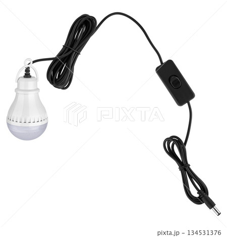 LED light bulb, on white background in insulation 134531376