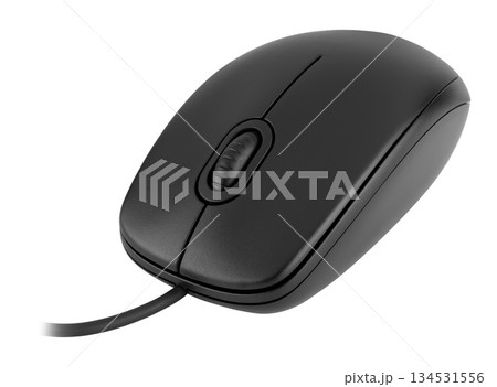 computer mouse, manipulator, on a white background in isolation computer mouse, manipulator, on a white background in isolation 134531556