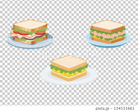 Sandwich vector illustration set 134531661