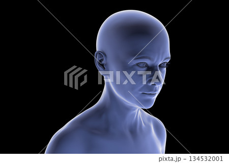 Middle-aged woman looking away from the camera, 3D illustration 134532001