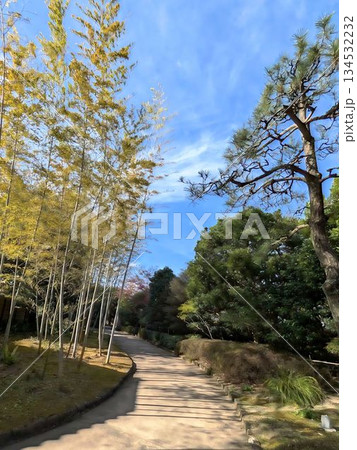 丈山苑、庭の風景 丈山苑、庭の風景 134532232