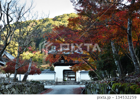 秋の興聖寺琴坂　山門とモミジ(京都府宇治市) 134532259